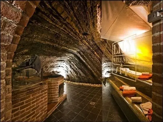 Hotel Hoffmeister & spa