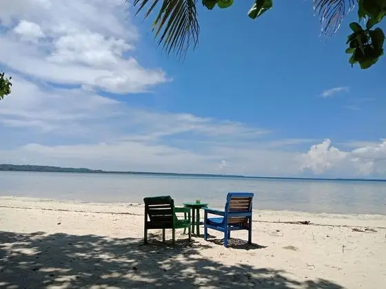 Hoga Island Dive Resort Wakatobi