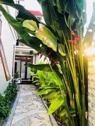 Hoi An Lake Shore Homestay - Dış Mekan