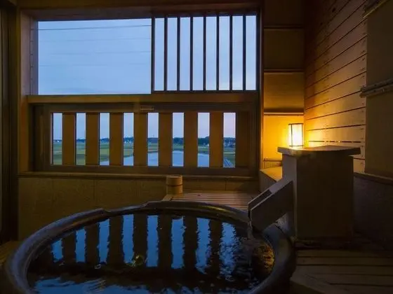 Hokuriku Awara Onsen Mimatsu - Banyo Tipleri