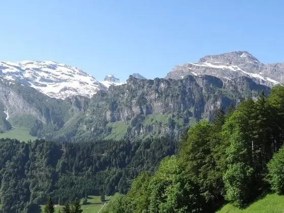 Holiday Apartment 7 Engelberg - Oda