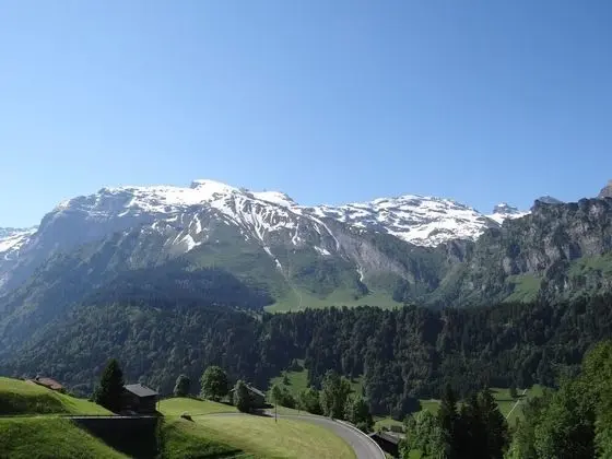 Holiday Apartment 7 Engelberg - Oda