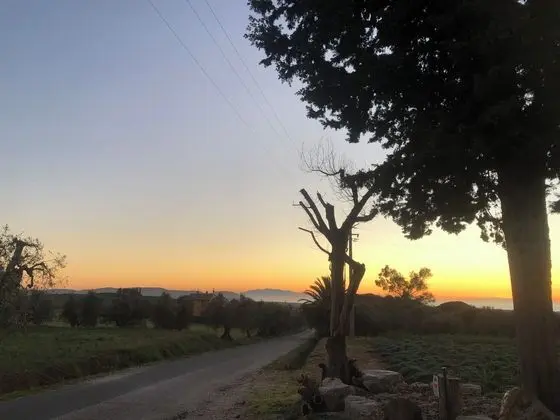 On Holiday Between Sky And Sea Geco Di Campiglia pet Friendly big Garden - Genel