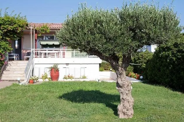 Holiday Home 4 Ananas, Only 70m far From the Beach - Mülk Olanakları