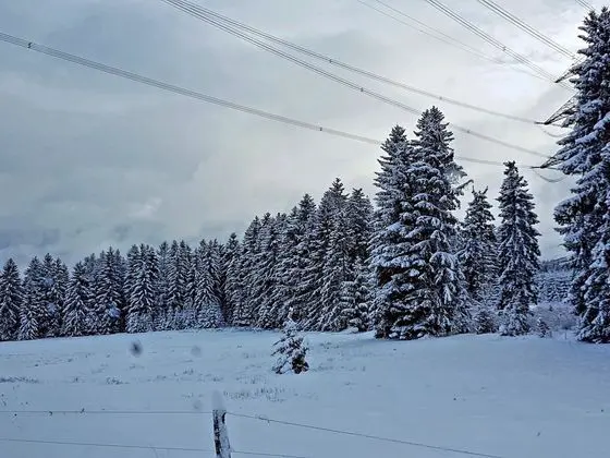 Holiday Home in Altenfeld Near Cross-country Ski Trails
