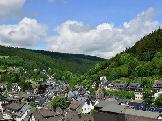 Holiday Home in the Centre of Willingen - Balcony and Lovely View of the Town - Genel