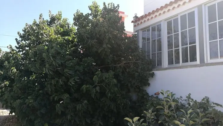 Holiday Home Emblema - Adults Only - Dış Mekan