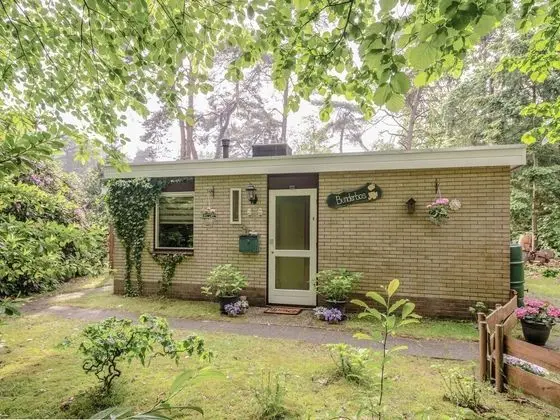 Holiday Home by the Forest in Ommen With Pool - 1