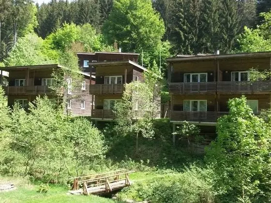 Holiday Home in the Großbreitenbach