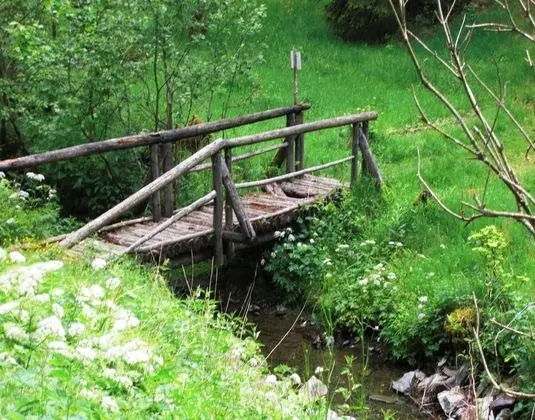 Holiday Home in the Großbreitenbach - Genel