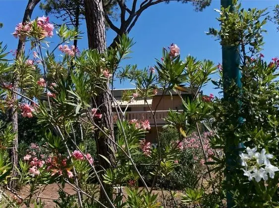 Holiday Home in Grosseto With Balcony, Garden Furniture, BBQ