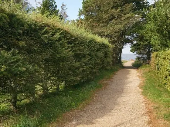 Holiday Home in Tarm