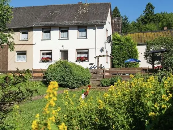 Holiday House Direct on the Forest Edge for you Alone