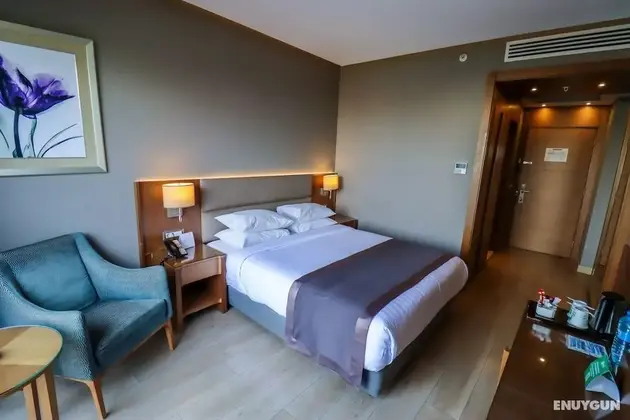 Holiday Inn Bursa City Centre - Oda