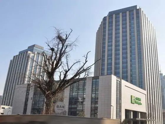Holiday Inn City Centre Qingdao
