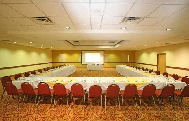 Holiday Inn Ciudad Juarez - İş / Konferans