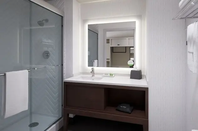 Holiday Inn Dandenong, an IHG Hotel - Banyo Tipleri
