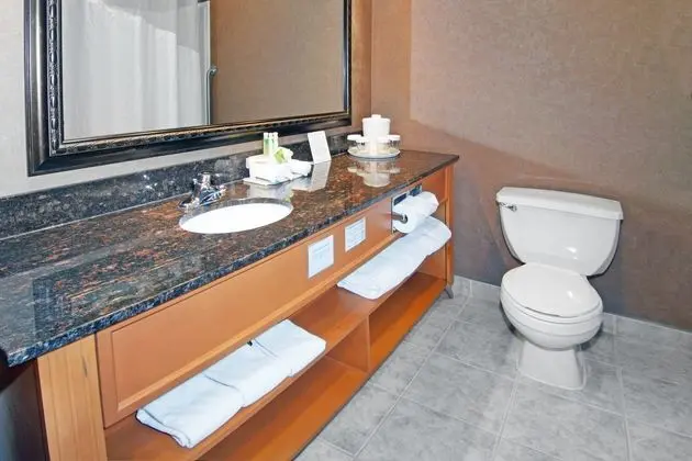 Holiday Inn Express Calgary-South