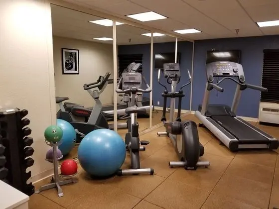 Holiday Inn Express Hunt Valley - Fitness