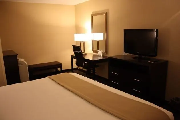 Holiday Inn Express Ludlow - 1