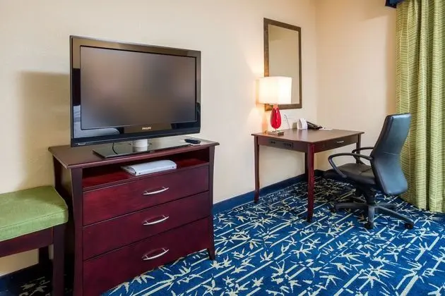 Holiday Inn Express Orlando - Apopka - Oda