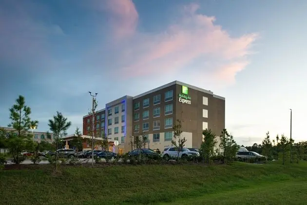 Holiday Inn Express Orlando - South Park, an IHG Hotel - Dış Mekan