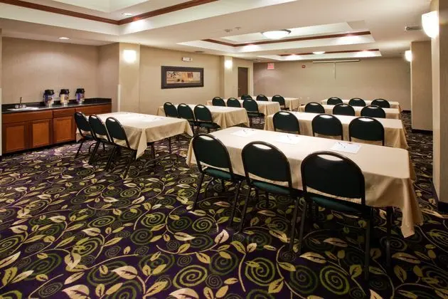 Holiday Inn Express Hotel & Suites Ada - İş / Konferans