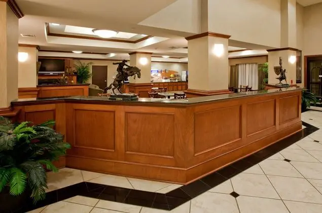Holiday Inn Express Hotel & Suites Ada - Lobi
