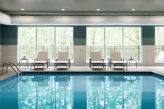 Holiday Inn Express & Suites Allen Park, an IHG Hotel - Havuz