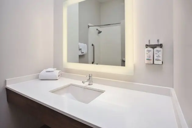 Holiday Inn Express and Suites Athens - Oda