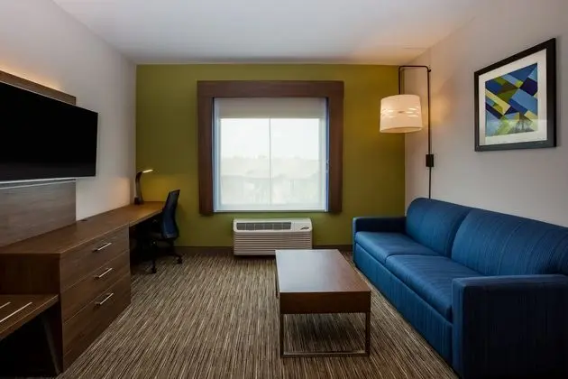 Holiday Inn Express and Suites Atlanta Southwest F - Oda