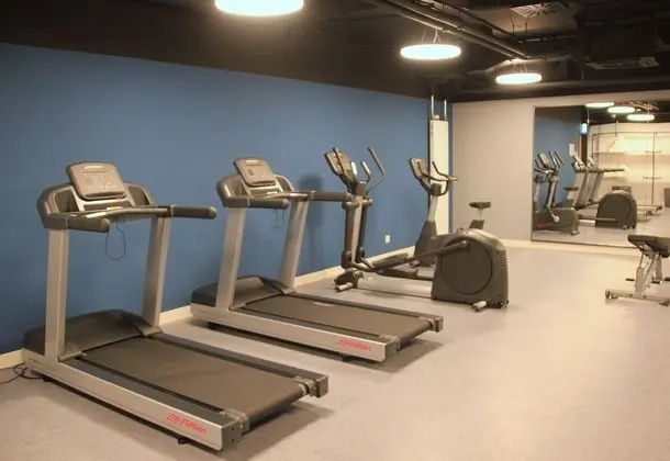 Holiday Inn Express & Suites Basel Allschwil, an IHG Hotel - Fitness