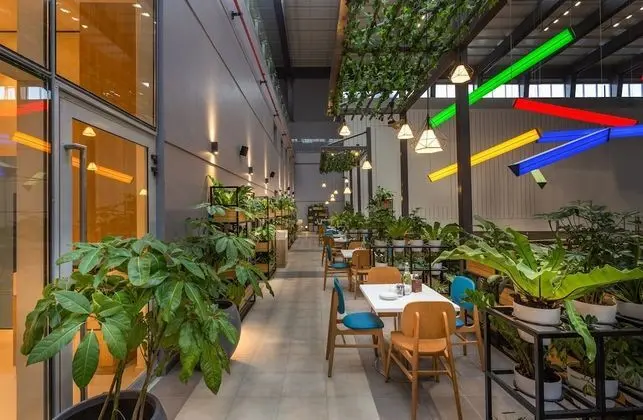 Holiday Inn Express & Suites Bengaluru Old Madras Road, an IHG Hotel - Yerinde Yemek