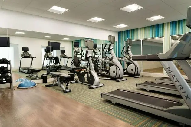 Holiday Inn Express And Suites Braselton West, an IHG Hotel - Fitness