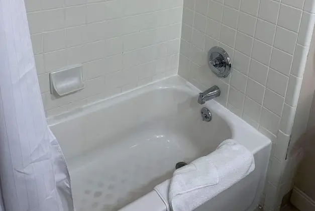 HOLIDAY INN EXPRESS SUITES BRIGHTON DOWNTOWN