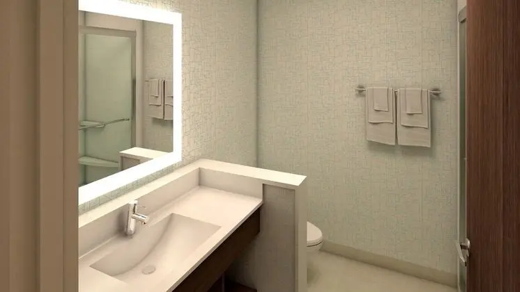 Holiday Inn Express And Suites Colorado Springs South I-25, an IHG Hotel - Banyo Tipleri