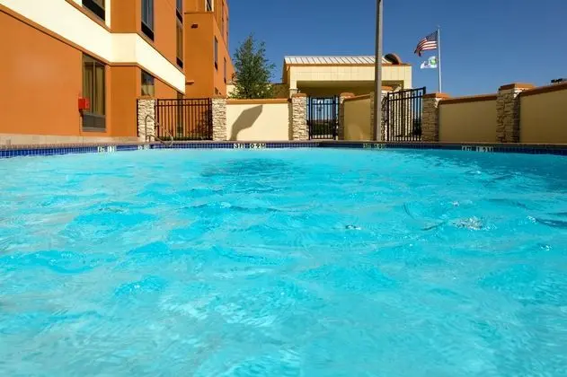 Holiday Inn Express Hotel & Suites Dallas Ft. Wort - Havuz