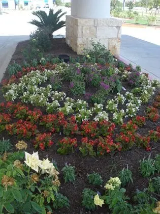 Holiday Inn Express Hotel & Suites Georgetown