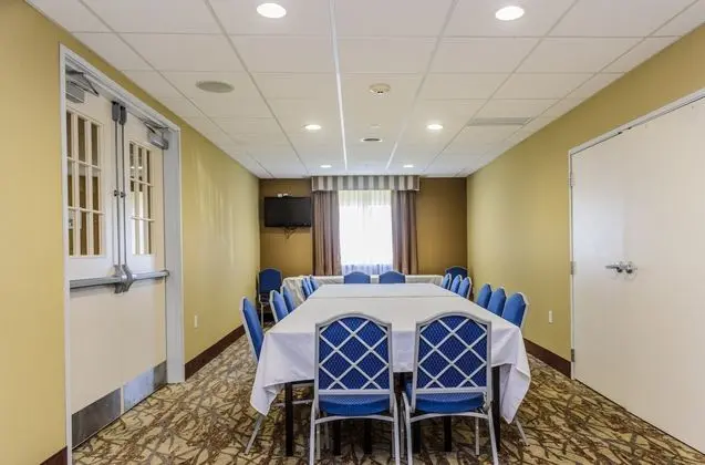 Holiday Inn Express Hotel & Suites Hamburg - İş / Konferans