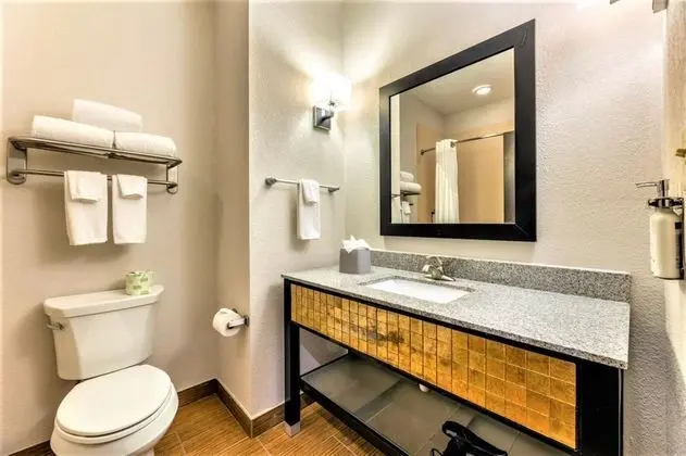 Holiday Inn Express and Suites Houston East Baytow - Oda