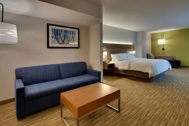 Holiday Inn Express and Suites Jacksonville North - Oda