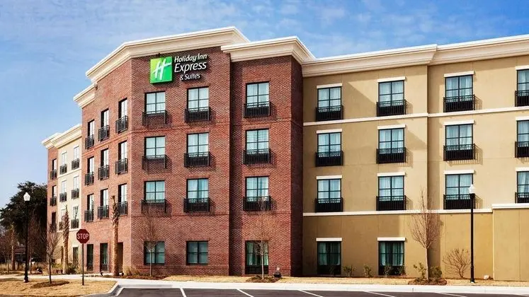 Holiday Inn Express Hotel & Suites Mount Pleasant - Genel