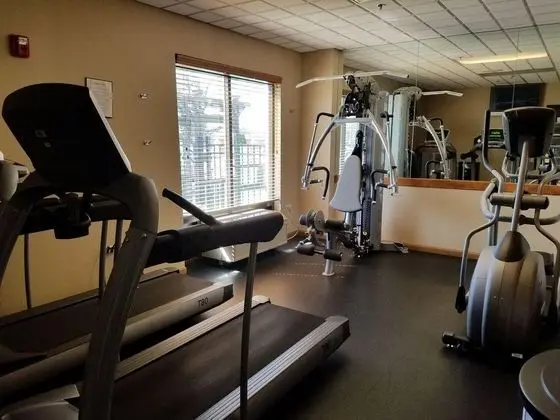 HOLIDAY INN EXPRESS AND SUITES Prospect Heights - Genel