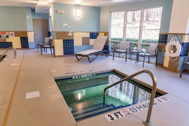 Holiday Inn Express Hotel & Suites Raleigh Sw Nc S - Havuz