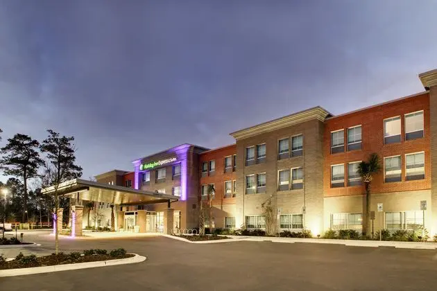 HOLIDAY INN EXPRESS AND SUITES SUMMERVILLE