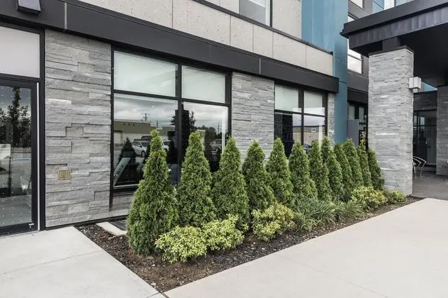 Holiday Inn Express & Suites Toronto Airport South, an IHG Hotel - Dış Mekan