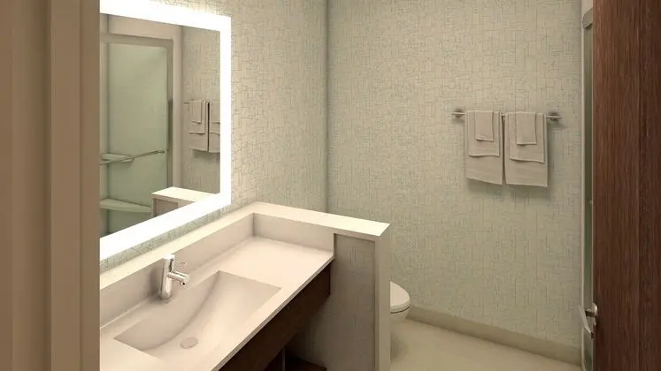 Holiday Inn Express and Suites Trois Rivieres - Oda