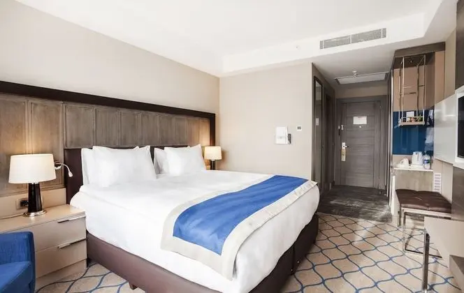 Holiday Inn Kayseri - Duvenonu, an IHG Hotel - Oda