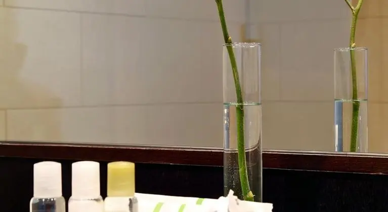 Holiday Inn Madrid Las Tablas - Oda