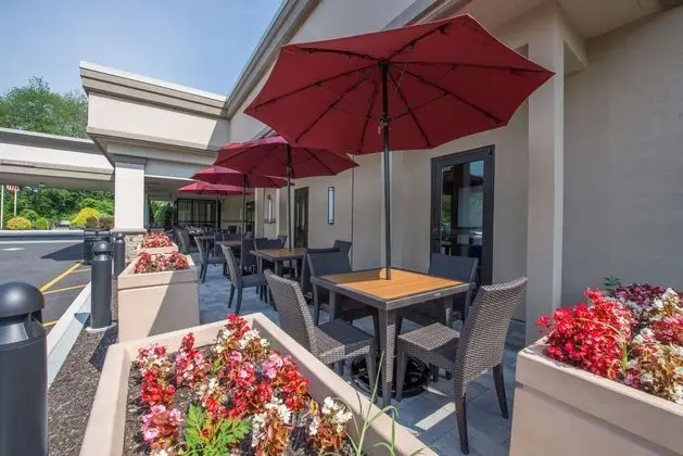 Holiday Inn MT. Kisco (Westchester County) - Havuz